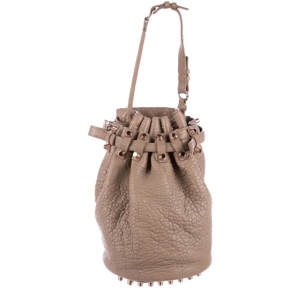 Alexander Wang Diego bucket bag in beige leather